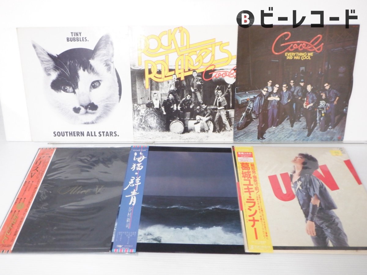 サザンオールスターズ　レコード　LP2枚組 LP2枚組「サザンオールスターズ/Young Love」VIJL-40002-3