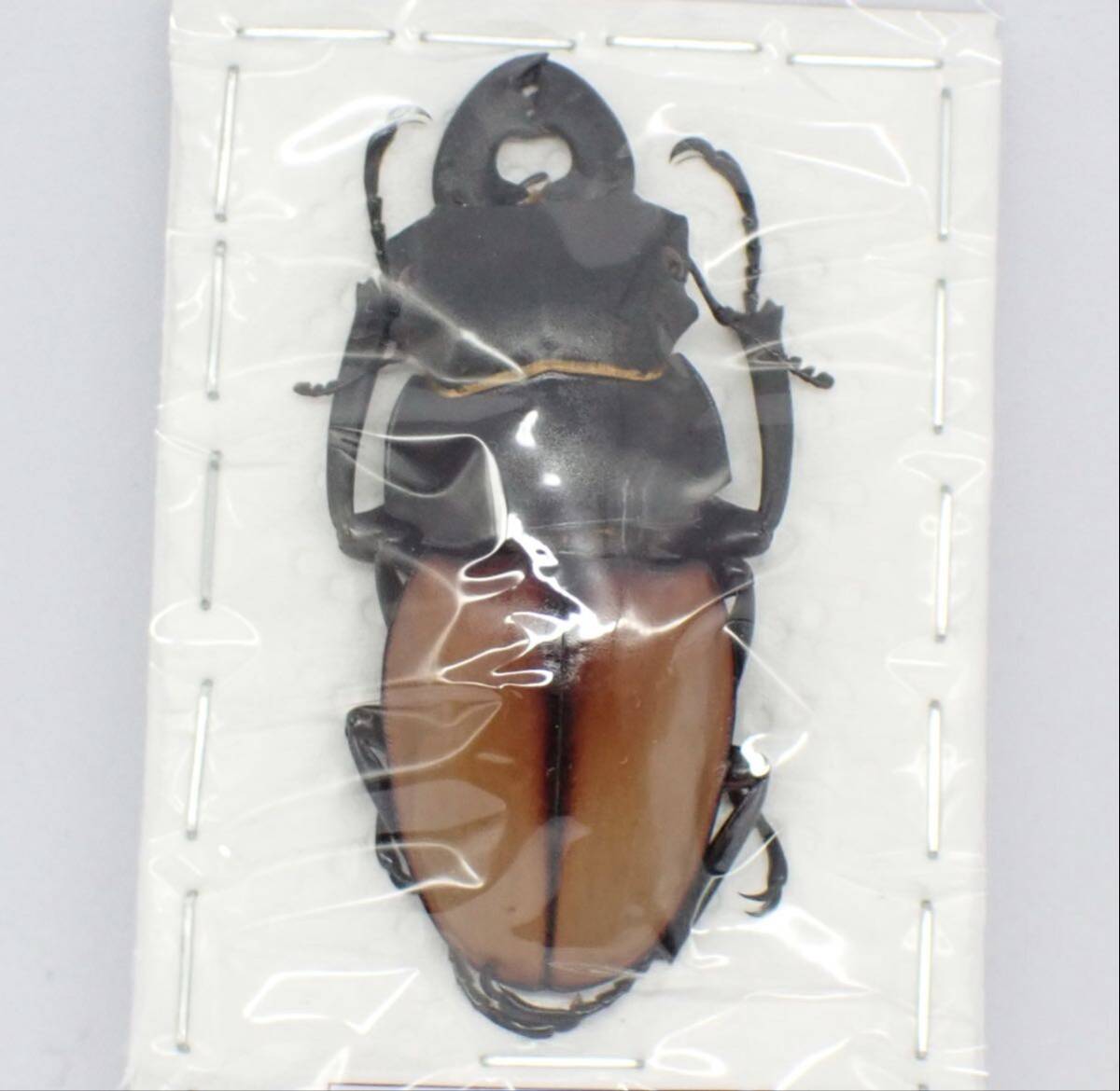 エルンスト・ルードヴィッヒ・キルヒナー、海外版超希少レゾネ、新品額付 エルンスト・ルートヴィヒ・キルヒナー - Wikipedia