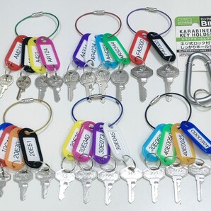 ALPHA、SOL、南京錠、同一キー、合鍵22本セット、南京錠カギ、No.1000/2500、アルファ、ソル、カギ、ネコポス匿名無料配送、カラビナ付き