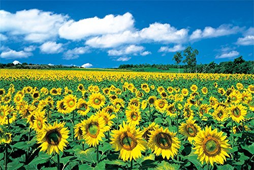 【新品未開封】内田新哉　草原のハイジ　ジグソーパズル　1000ピース　レトロ 新品未開封】内田新哉 草原のハイジ ジグソーパズル 1000ピース