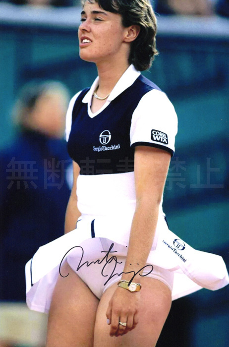 Yahoo!オークション -「マルチナヒンギスサイン」の落札相場