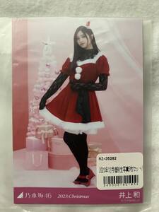 乃木坂46 井上和 2023 Christmas クリスマス 生写真 5種コンプ