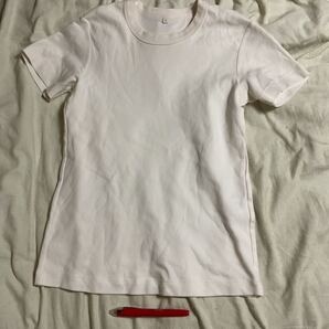 半袖Tシャツ Tシャツ B86-94身154-162 L 肩幅37身幅42着丈61袖17cm 綿100% アイボリ- 500円超10%商品オマケ イオン TV ミャンマー