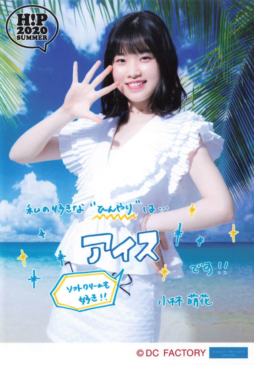 小林萌花クリアファイルまとめ売りバラ売り不可 4年保証』 小林萌花クリアファイルまとめ売りバラ売り不可