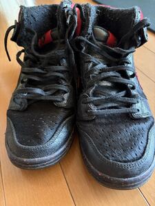 SB DUNK HIGH PRO PREMIUM KRAMPUS 554673-006 ナイキ
