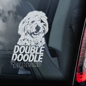 ダブルドゥードル ② ダブル・ドゥードル 外張り カーステッカー@犬 ステッカー 車 ラブラドゥードル×ゴールデンドゥードル ミックス犬 D2