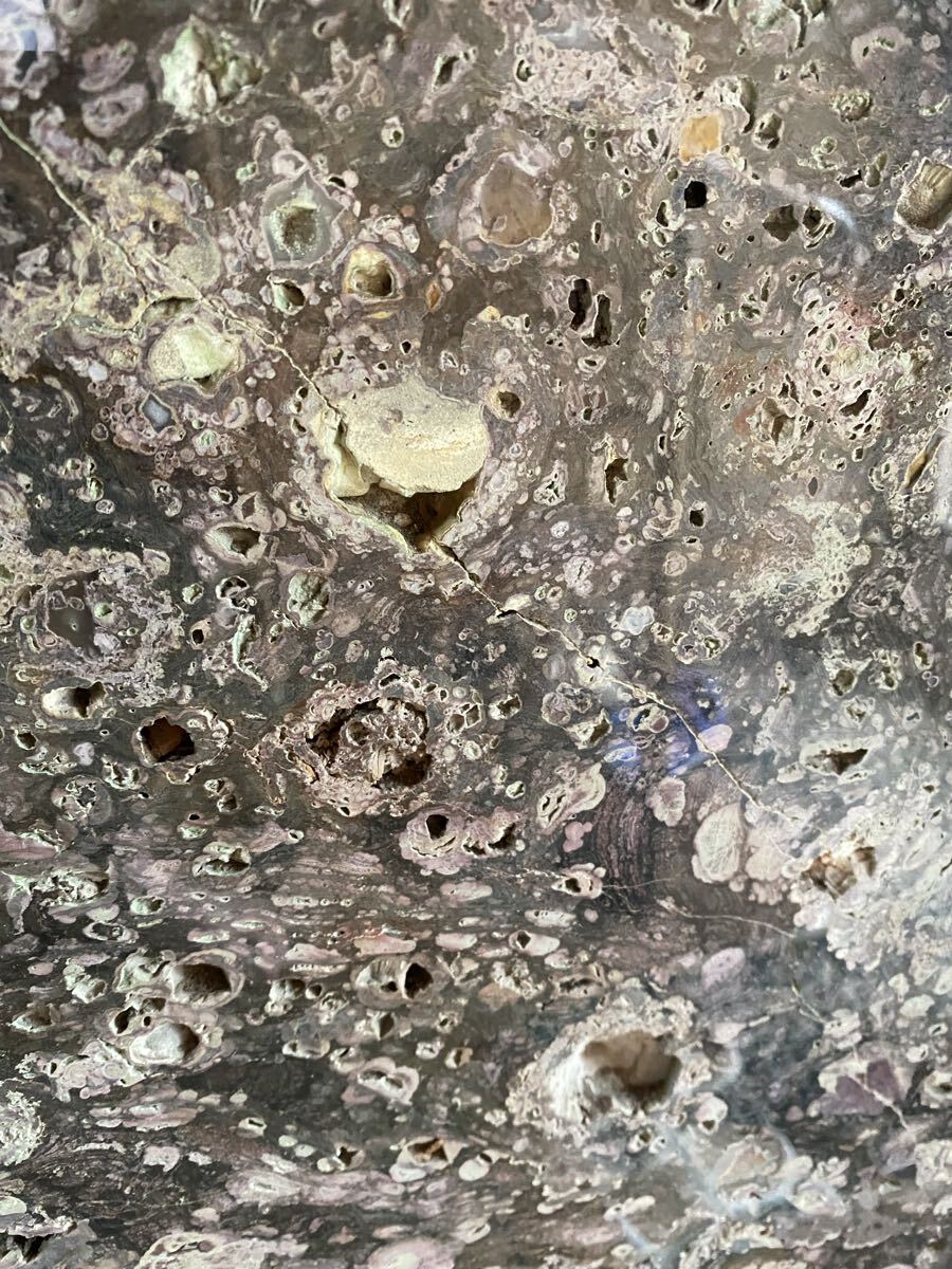 鑑賞石　天然石　木化石　梅化石など　置物　12点まとめて　C　R6254C 鑑賞石 天然石 木化石 梅化石など 置物 12点まとめて C R6254C 鑑賞