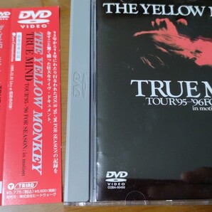 TRUE MIND TOUR ’95~’96 FOR SEASON:in mot DVD ザ・イエロー・モンキー