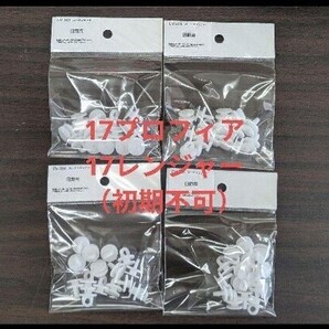 カーテンランナー60個 日野17プロフィア/17レンジャー用 ※要サイズ