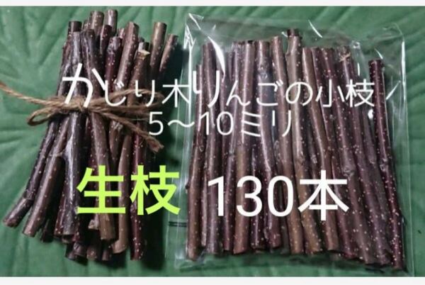 かじり木りんごの小枝130本 生枝