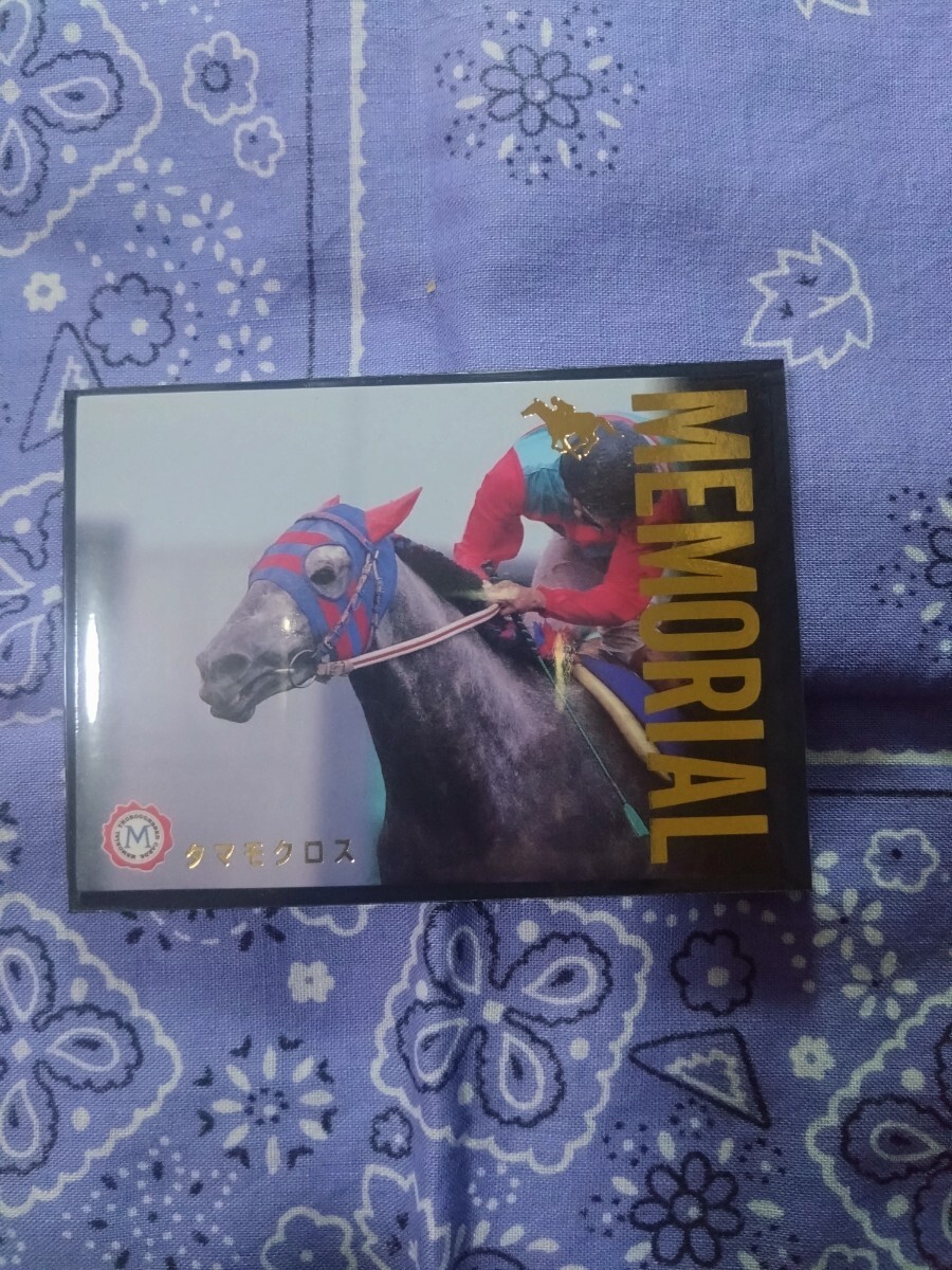 ダイイチルビー　メモリアル　サラブレッドカード　トレーディングカード ダイイチルビー メモリアル サラブレッドカード トレーディング