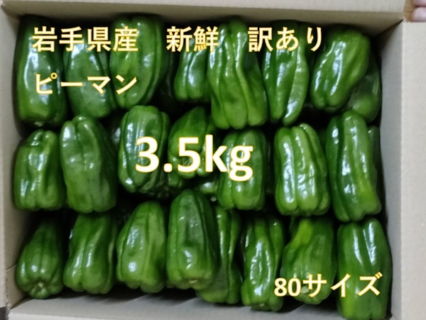 新鮮 ピーマン 3.5kg 岩手県産