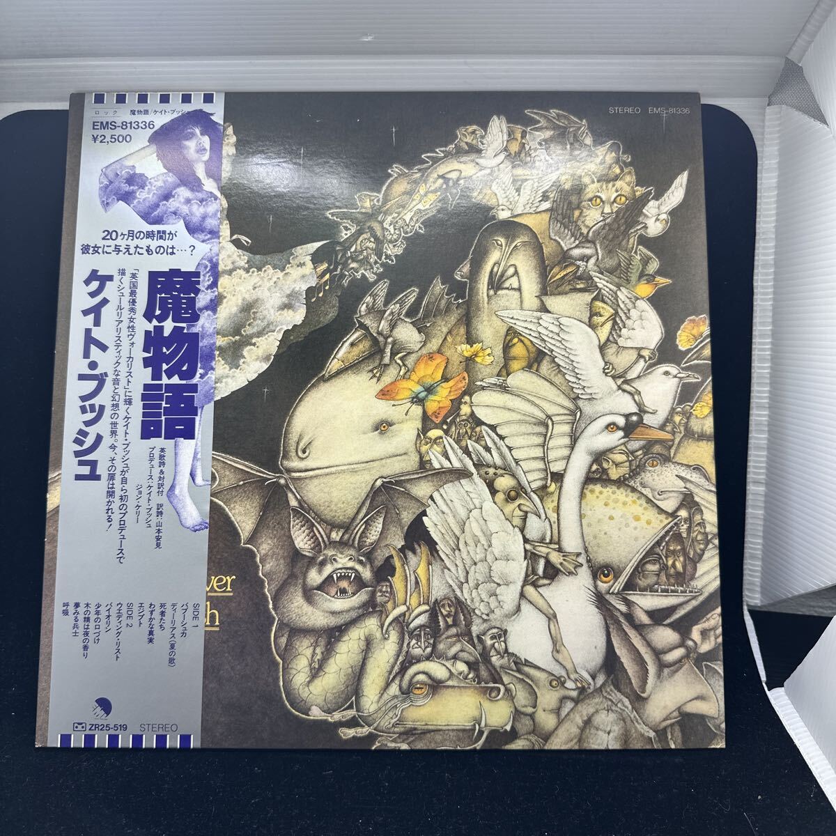 2025年最新】Yahoo!オークション -kate bush レコードの中古品