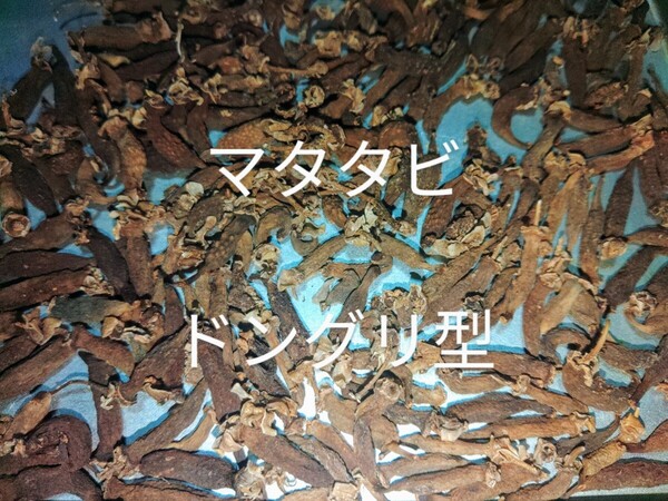 岩手県産 マタタビの実 ドングリ型 乾燥 50g