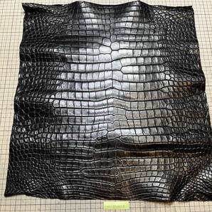 CR5-239★数量限定入荷特大センター取り★希少サイズラグジュアリーグロッシーマット最高級ポロサスクロコダイルレザークラフトはぎれ