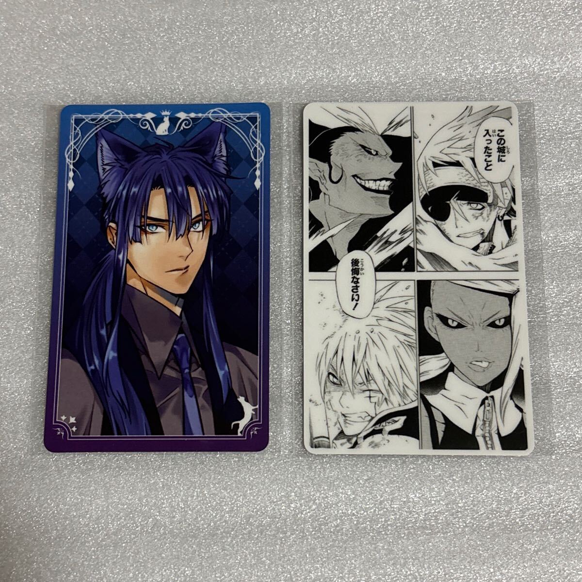 D.gray-man トレーディングカード　85枚　アレン　神田　ラビ　トレカ カードセット「D・TRIPLE・PACK2 アレン×神田×ラビ」(15 枚)｜D
