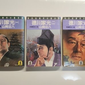 徳川家光 1〜3巻 3冊セット 山岡荘八/著 光文社時代小説文庫 本 歴史 江戸幕府 将軍 家綱 秀忠 家康 天草 島原 鎖国 松平信綱 日本史