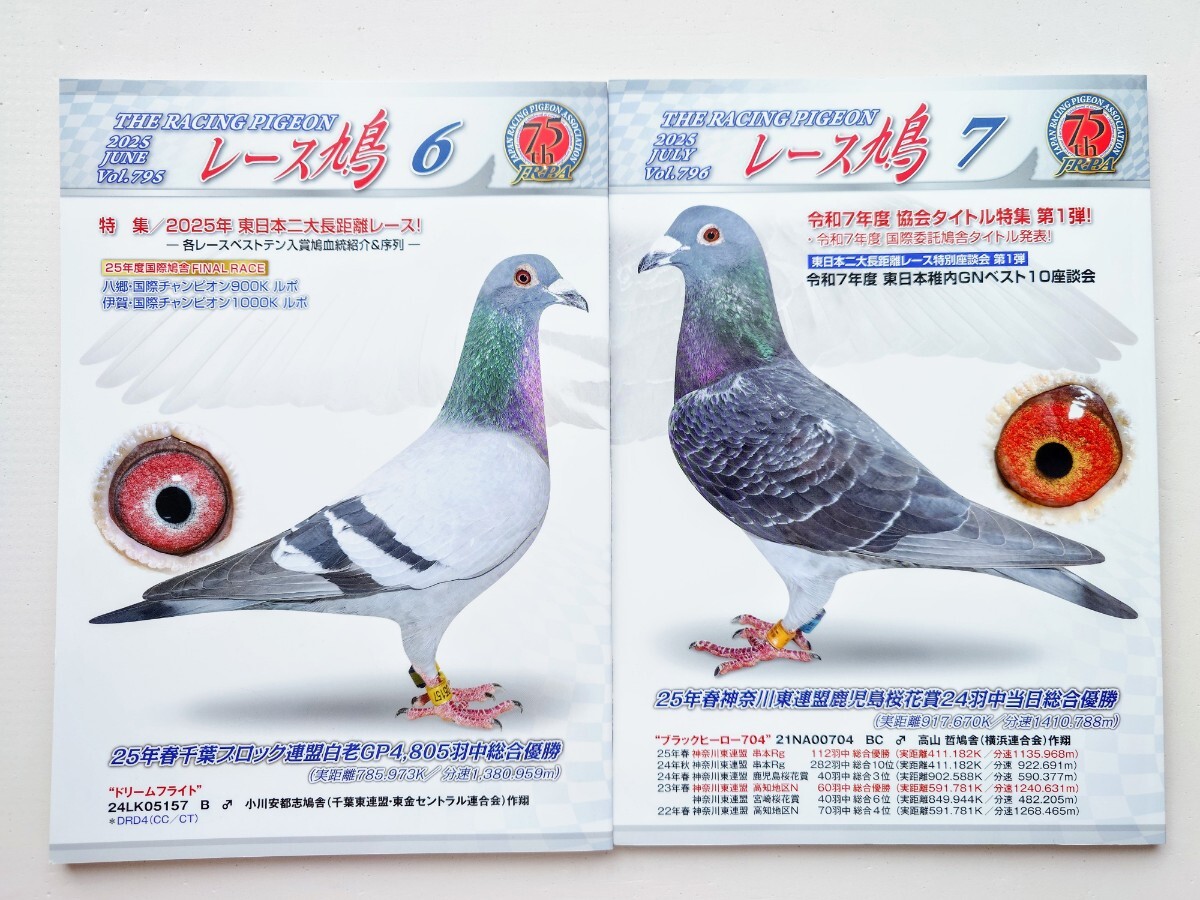 愛鳩の友 雑誌セット 一年分12冊 Yahoo!オークション -「)鳩」(ペット、動物) (趣味、スポーツ