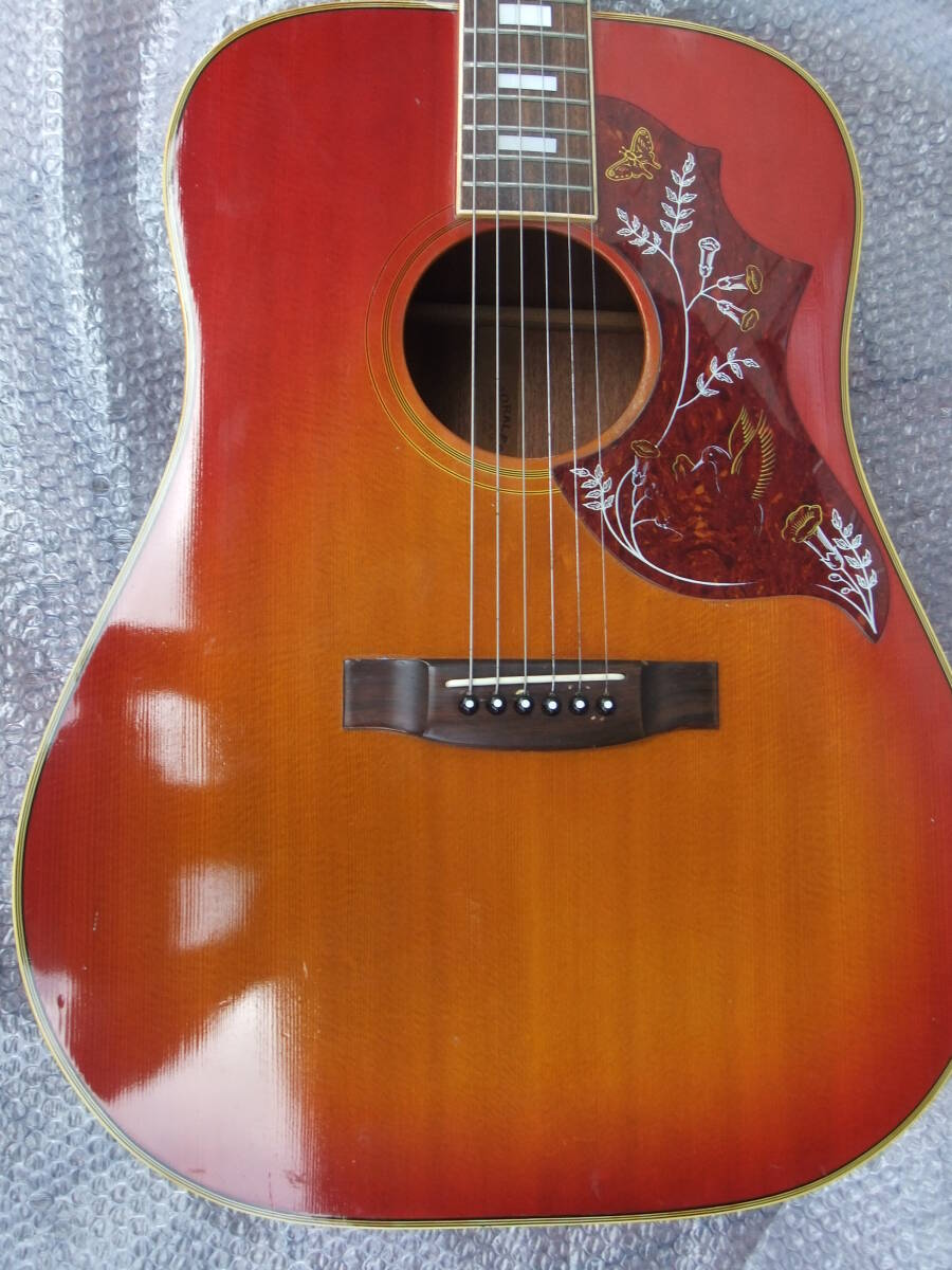 2025年最新】Yahoo!オークション -ハミングバードの中古品・新品