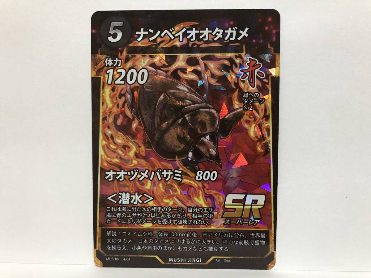 Yahoo!オークション -「オオタガメ」の落札相場・落札価格