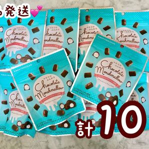 【10袋】横井チョコレート チョコマシュマロ ×10個