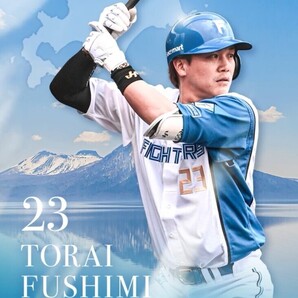 ファイターズトレカ「ファイターズふるさと納税限定トレカ」伏見選手 パスワードのみ2
