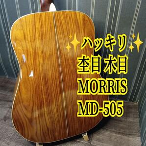 ハッキリ 木目 杢目 MORRIS モーリス MD-505 アコースティックギター アコギ ギター 80年代 日本製 MD505 MD 505