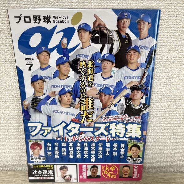 プロ野球 ai アイ ファイターズ特集