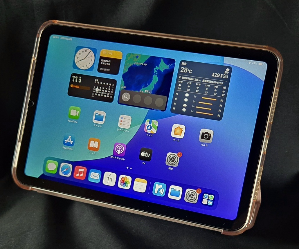 iPad mini6 256GB Wi-Fiモデル ジャンク Yahoo!オークション -「ipad mini 6 ジャンク」の落札相場・落札価格