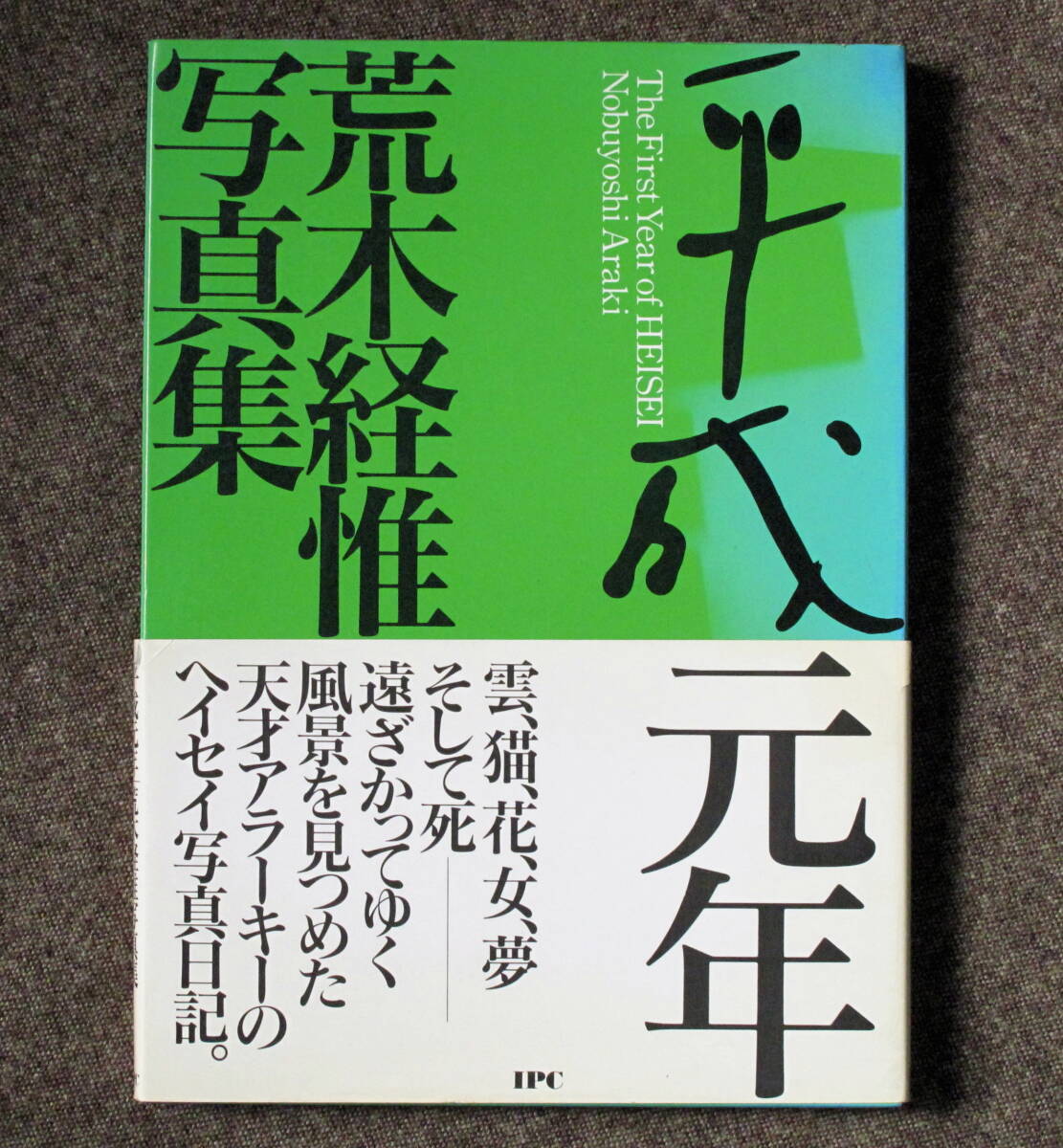 2025年最新】Yahoo!オークション -#アラーキーの中古品・新品