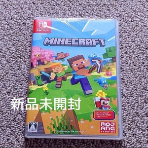 Nintendo Switch版 Minecraft マインクラフト