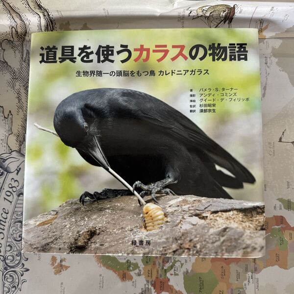 道具を使うカラスの物語 生物界随一の頭脳をもつ鳥カレドニアガラス パメラ・S.ターナー/著 杉田昭栄/監訳 須部宗生/訳