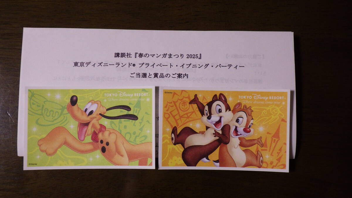 お値下げ‼️Private Evening Party 95 東京ディズニーランド Yahoo!オークション -「ディズニー イブニングパーティー」の