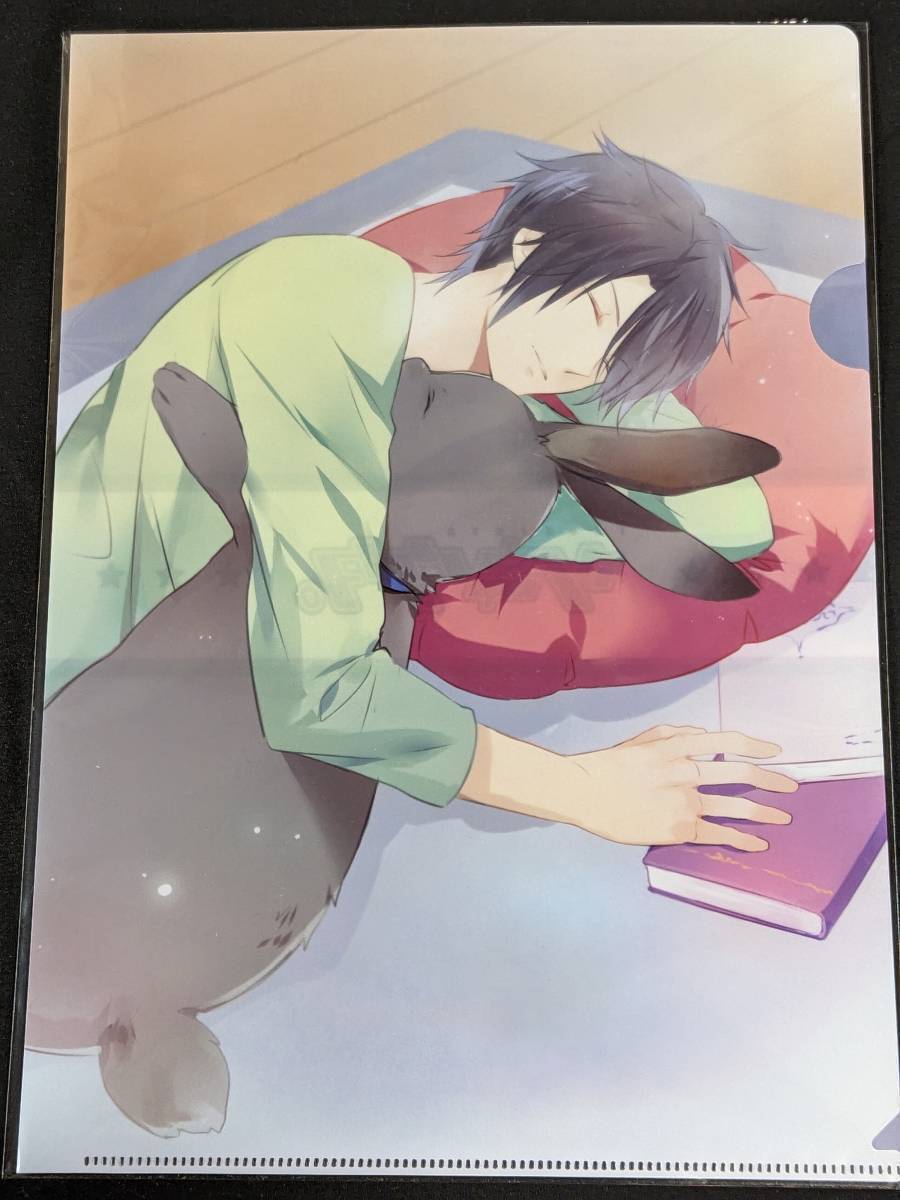 新品★ひだまりが聴こえる★アニメイト★ブックフェア★クリアファイル★2点セット