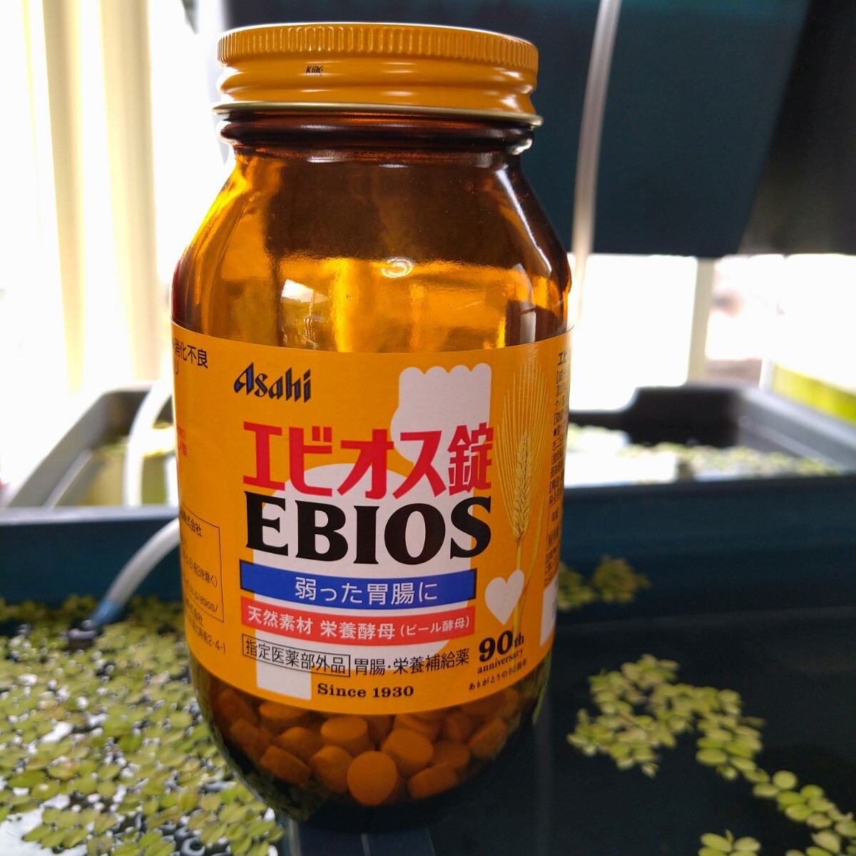 エビオス錠　ビール酵母　200錠　PSB　ゾウリムシ の培養 増殖 メダカ ビー