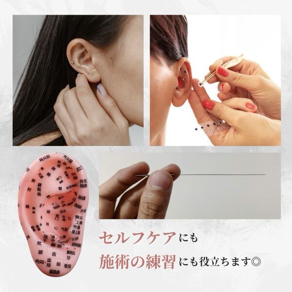 耳ツボジュエリー 模型 リフトアップ 耳つぼ セルフケア 健康 美容 練習 学習 耳模型 ダイエットマッサージ 耳ツボシール 説明書付 新品