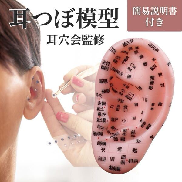 リフトアップ 耳ツボジュエリー 模型 耳つぼ セルフケア 健康 美容 練習 学習 耳模型 ダイエットマッサージ 耳ツボシール 説明書付 新品