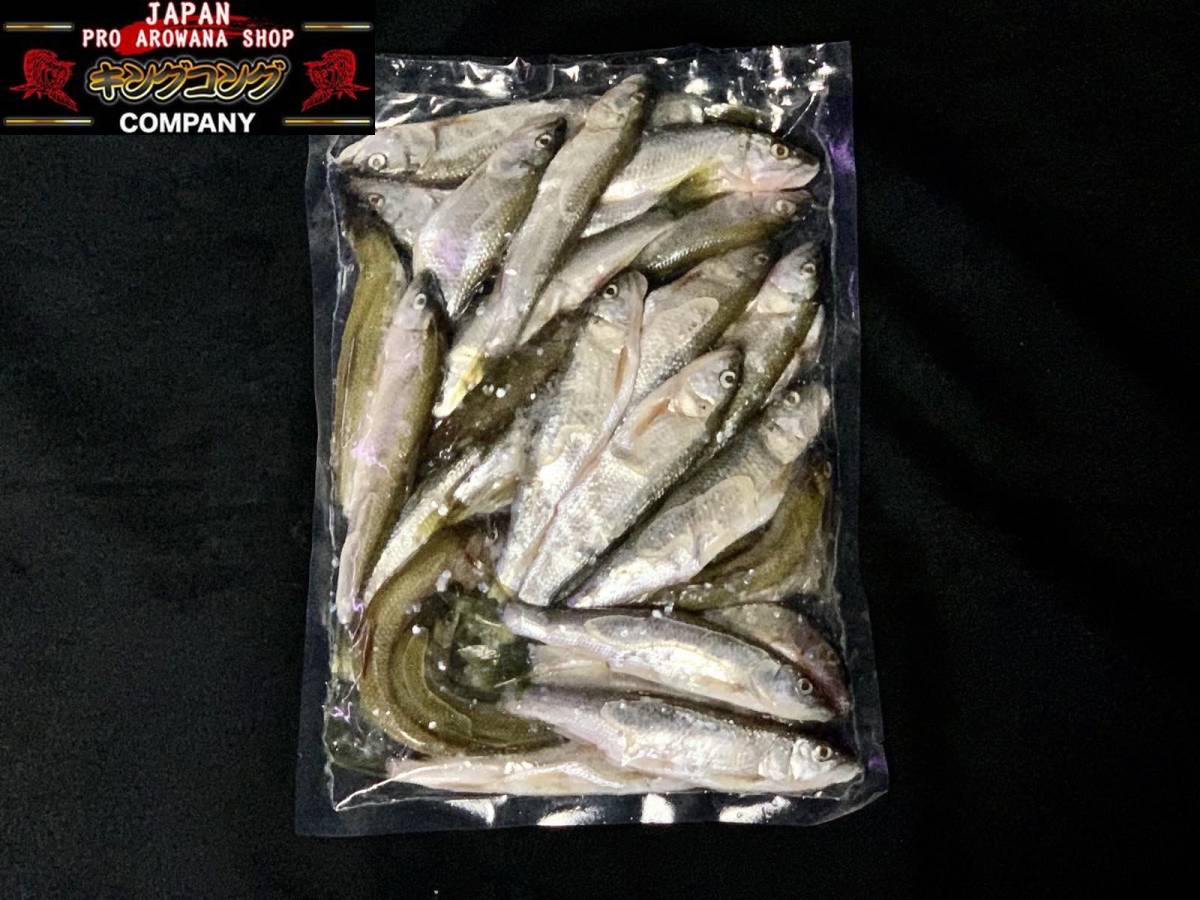  дополнение возможность наш магазин оригинал!! местного производства натуральный рефрижератор - s1kg L размер 