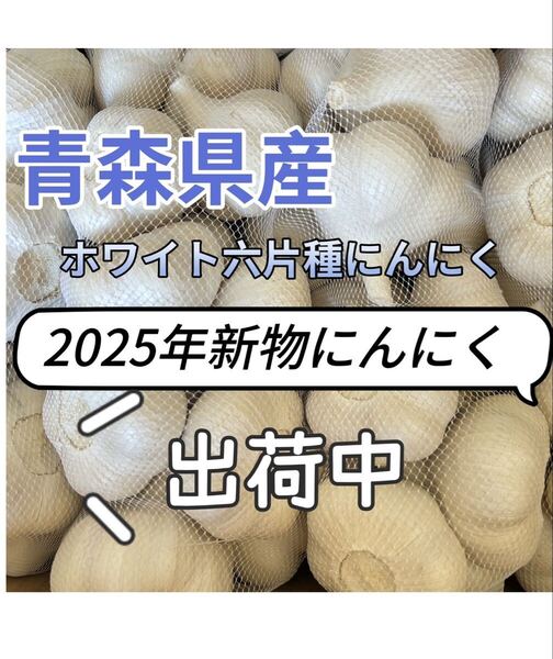 2025年新物にんにく 1kg25球前後 小球 青森県産にんにく ホワイト六片種にんにく 厳選にんにく 乾燥済み ネット入り