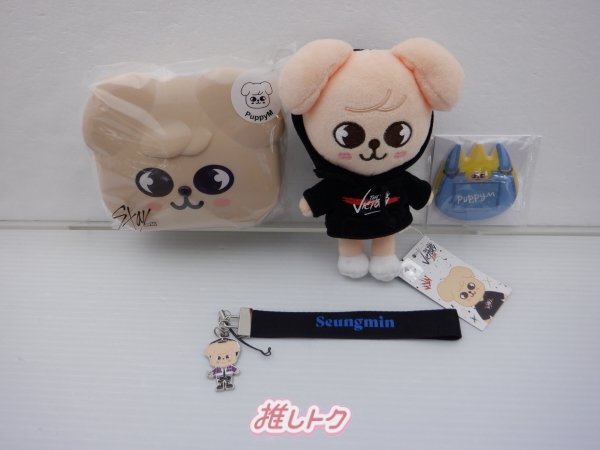 straykids スンミン　pilot ミニぬいぐるみ(新品未使用) stray kids スンミン ぬいぐるみ 20cm 新品 - メルカリ