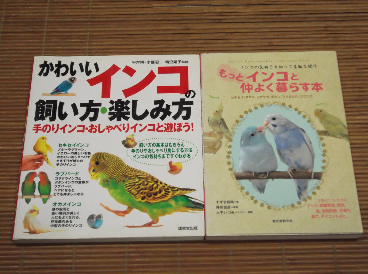 2025年最新】Yahoo!オークション -インコ 飼い方(本、雑誌)の
