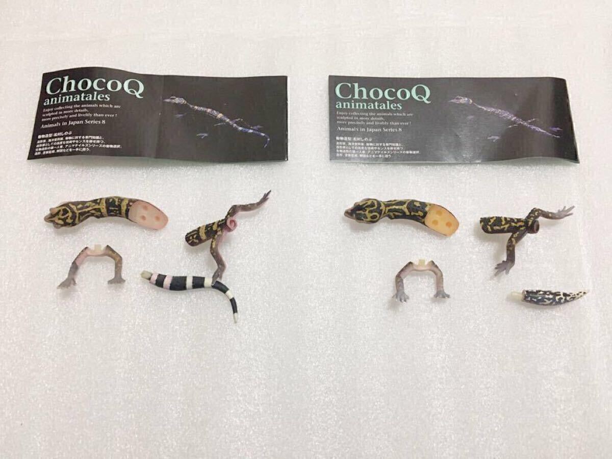 「チョコQ 日本の動物 第8弾」 フィギュア 21種セット カプセルQミュージアム 日本の動物コレクション8 日本アルプス