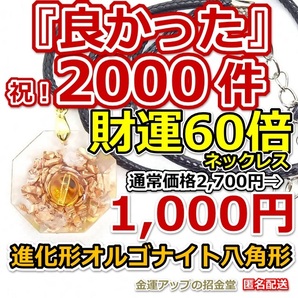 感謝価格『【超強力】財運60倍 進化形オルゴナイト八角形ネックレス』【金運アップの招金堂】ピアス・チャーム・ペンダントトップ/1211