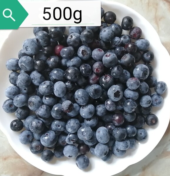 愛媛産 生 ブルーベリー 500g 無農薬 自家菜園