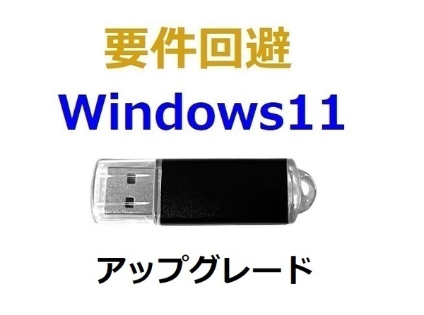 要件回避-USB Win10→Win11 (24H2) アップグレード