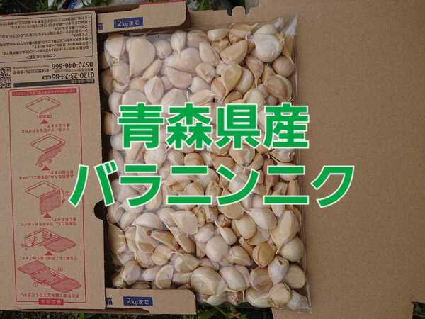青森県産ニンニク #バラニンニク#お買い得#訳あり#福地ホワイト六片種 ①