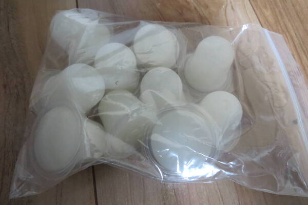 お試し 昆虫ゼリー ホワイトタイプ 16グラム 10個 クワガタ カブトムシ 送料無料 16g