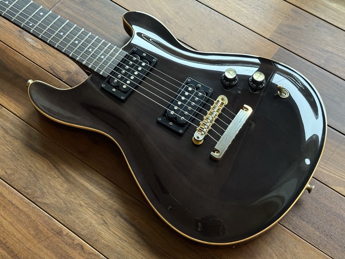 FERNANDES APG 100 24F仕様 中古】 FERNANDES APG-100 - 中古楽器の販売 ロトミュージック