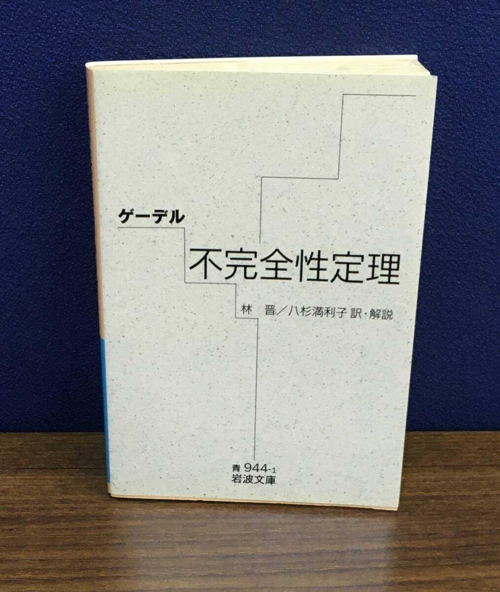 藤誠、【運河を行く】、希少な額装用画集より、新品額装付、状態良好 藤誠、【運河を行く】、希少な額装用画集より、新品額装付、状態良好