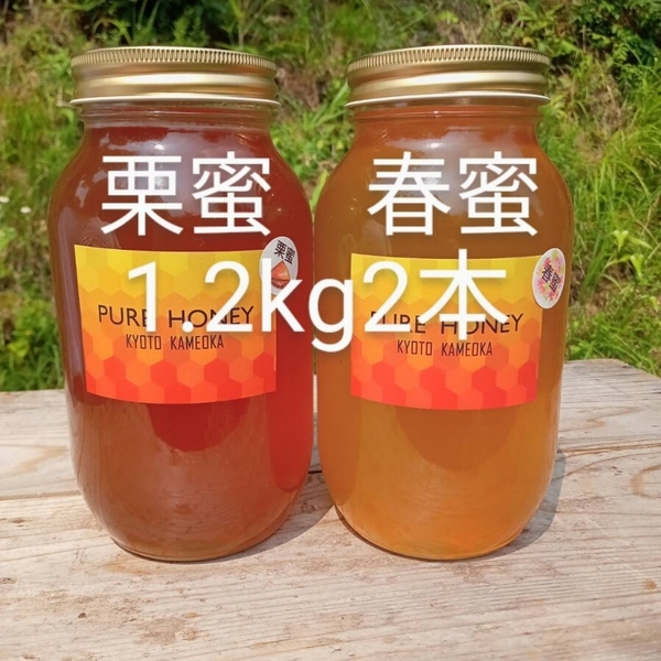 国産 純粋 蜂蜜 はちみつ 1.2kg2本 栗蜜 春蜜